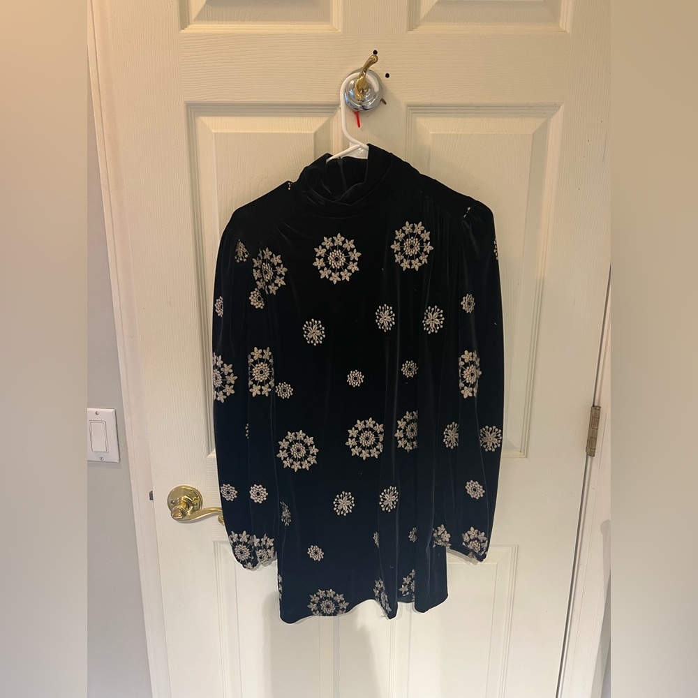 Zara embroidered velvet dress